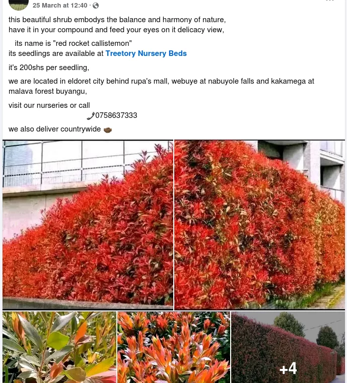 Screenshot from 2025-03-28 13-36-00.webp