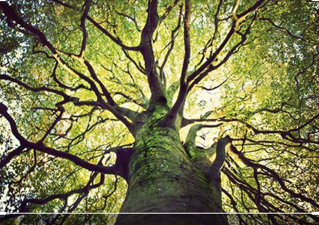 Screenshot_20200921-191346.png