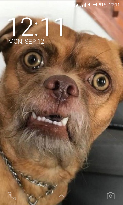Screenshot_20220912-121137.png