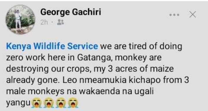 Screenshot_20230113-062356_Facebook.jpg