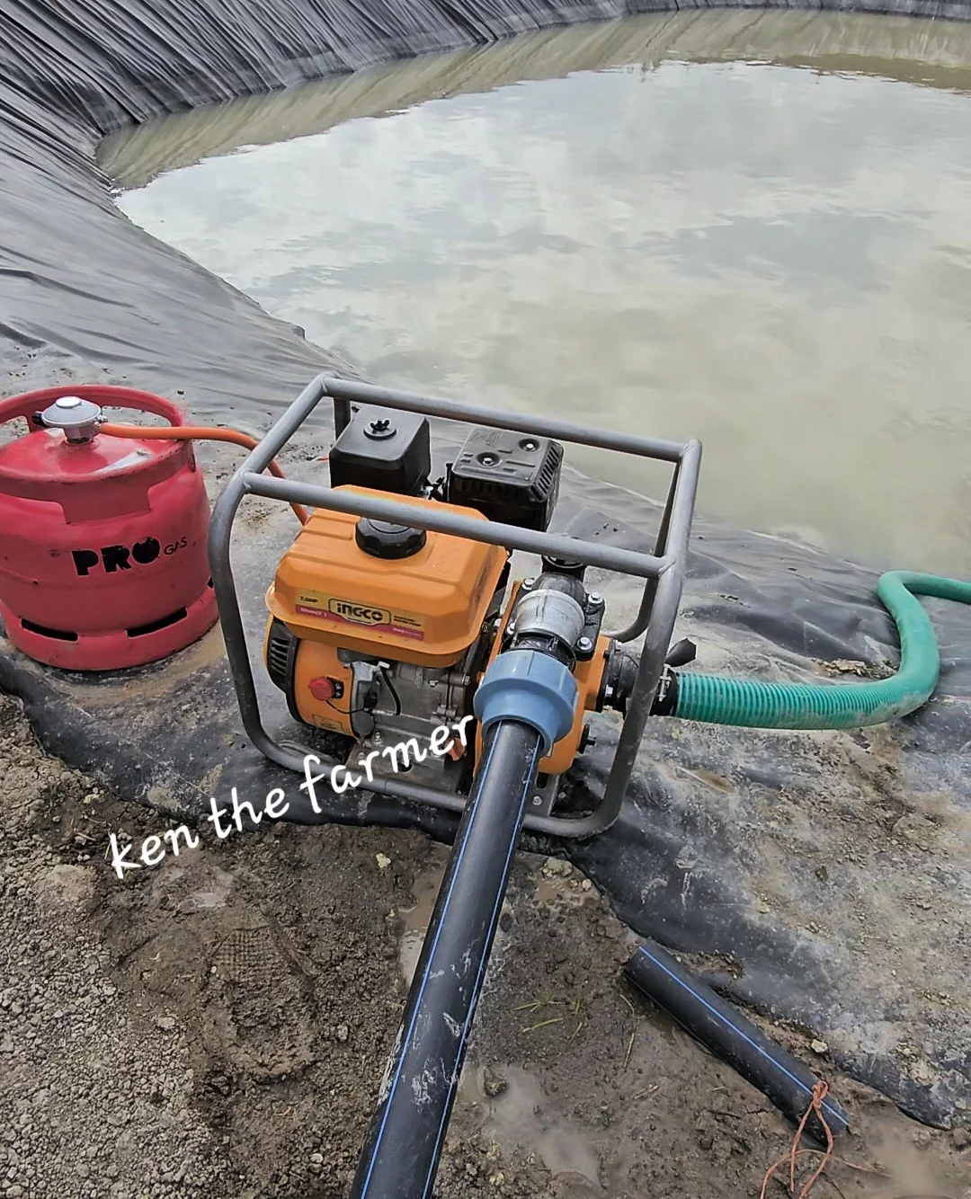 Screenshot_20241214_184849_Gallery.webp