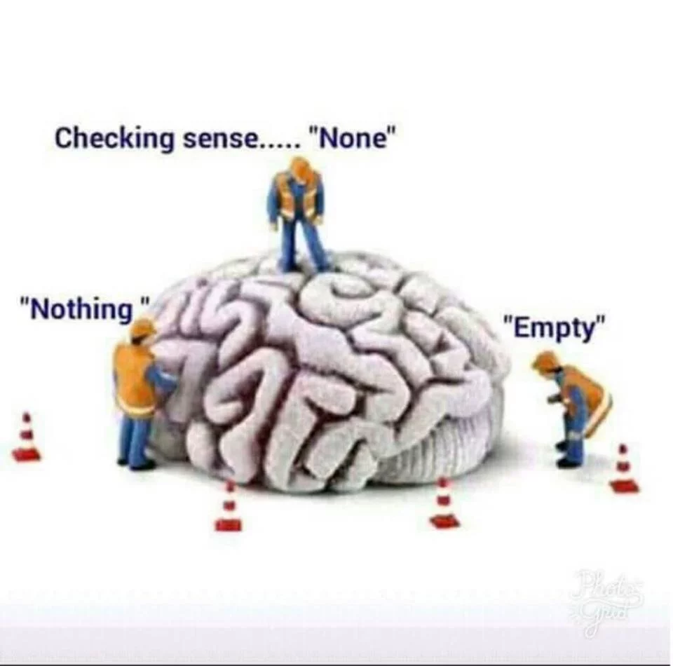 sense.webp