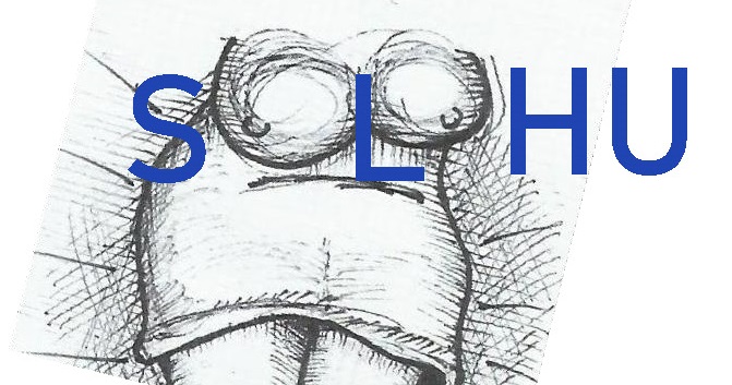 Suluhu.jpg