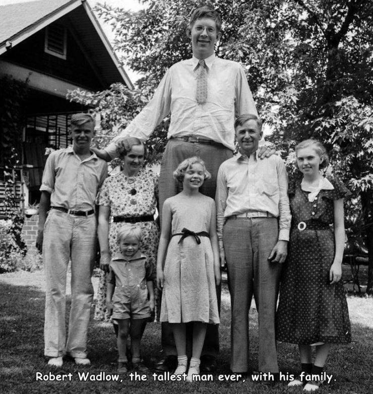 tall.jpg