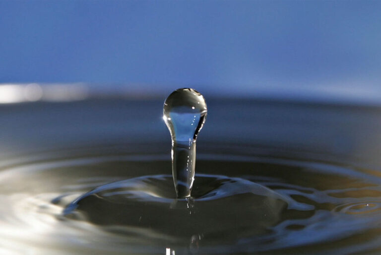 the-importance-of-water-to-life-768x513.jpg