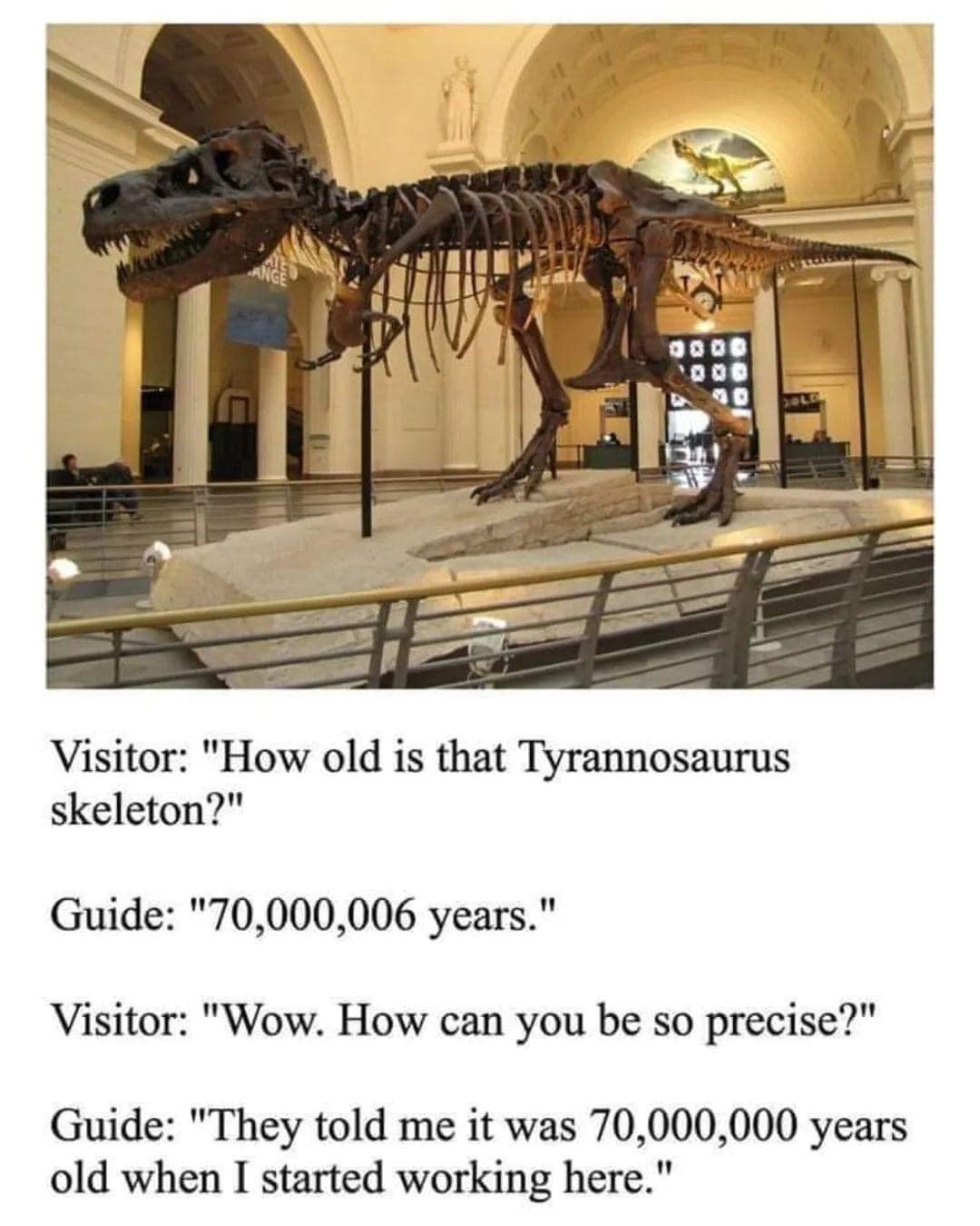 tyrannosaurus.jpg