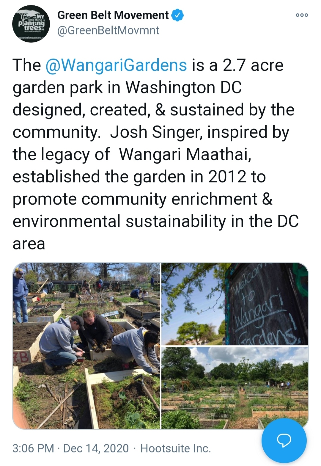 Wangari nursery WDC.jpg