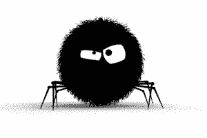 whatspider.gif