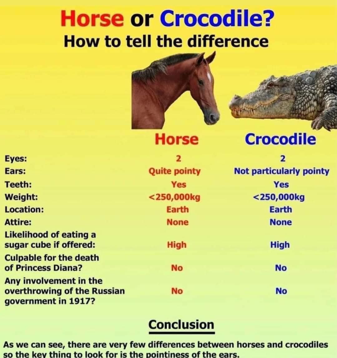 zebra_croc_diff.jpg