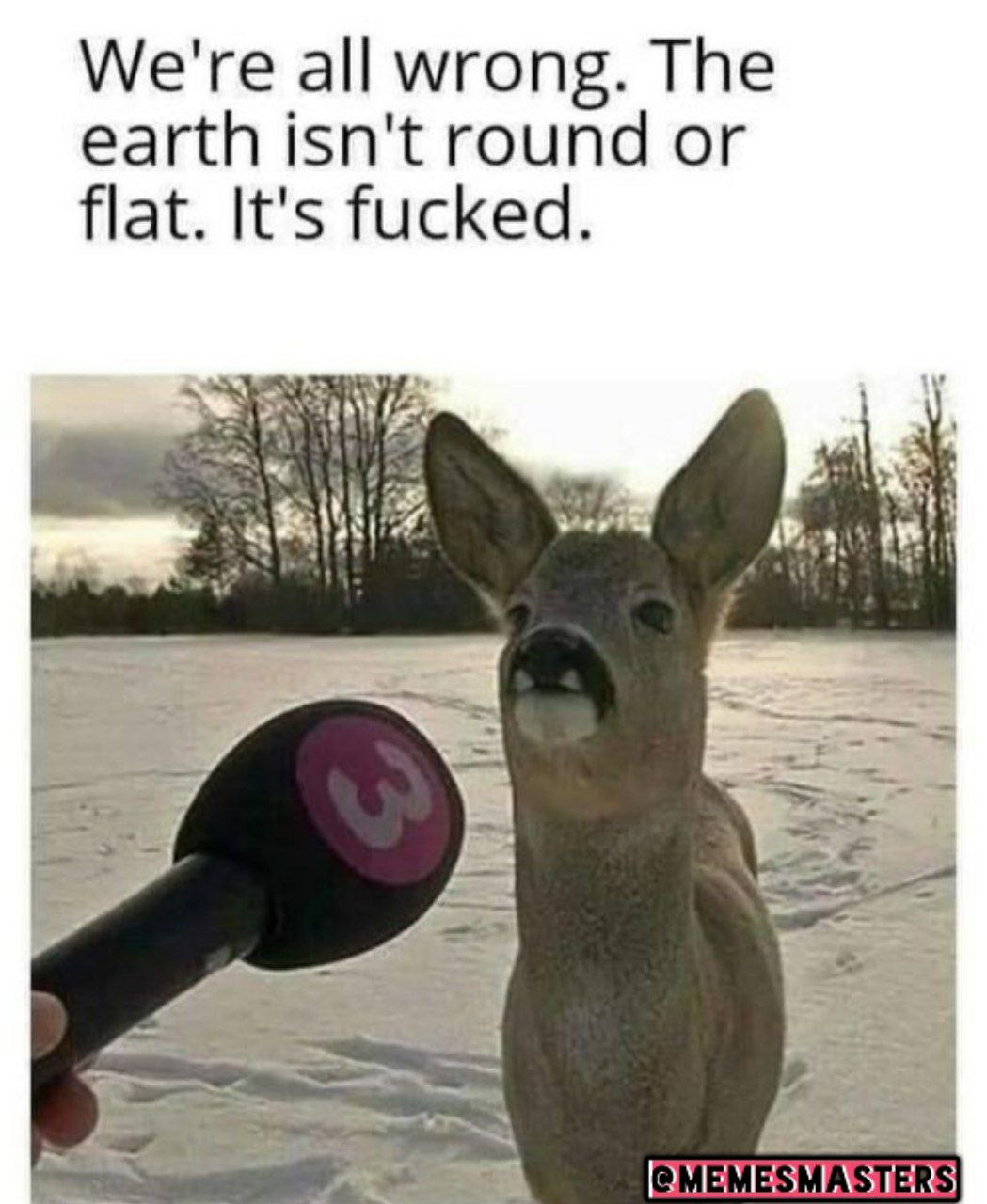 500153900371_25833.jpg