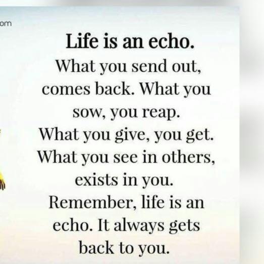 a7e7c8c131dc4a1091d205ec805d01d7.jpg