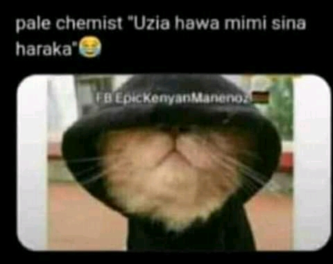 Chemist.jpg
