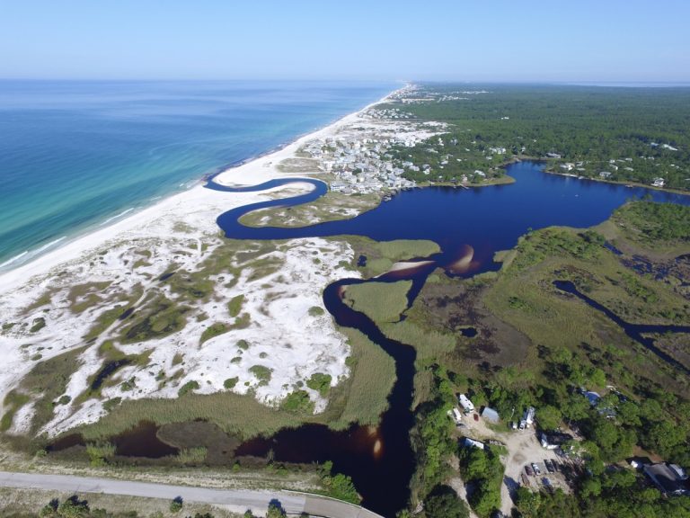 grayton-beach-state-park.jpg
