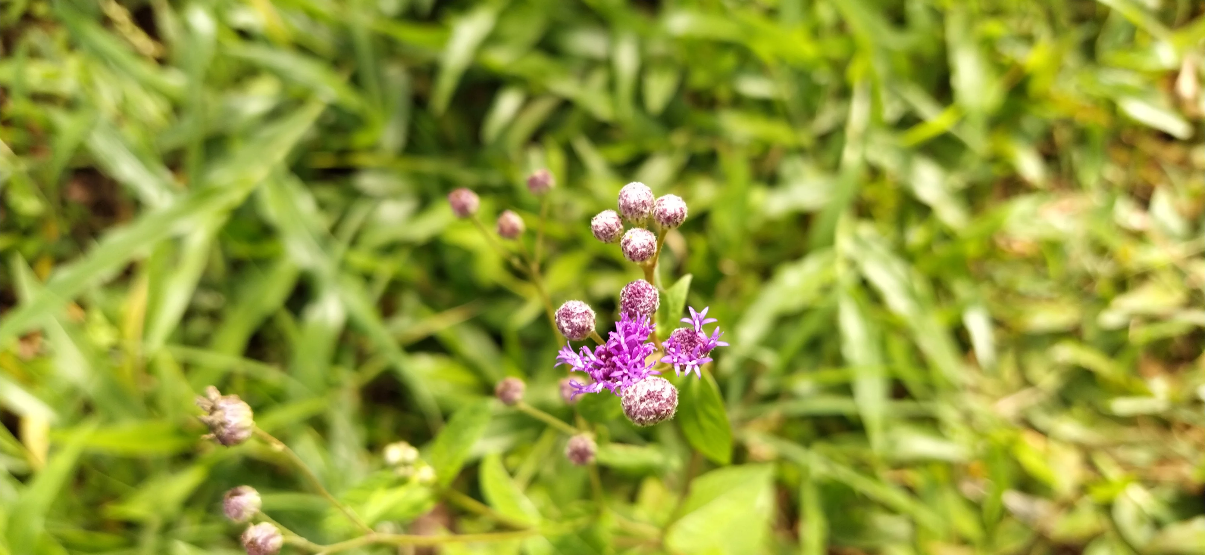 IMG_20191225_151421.jpg