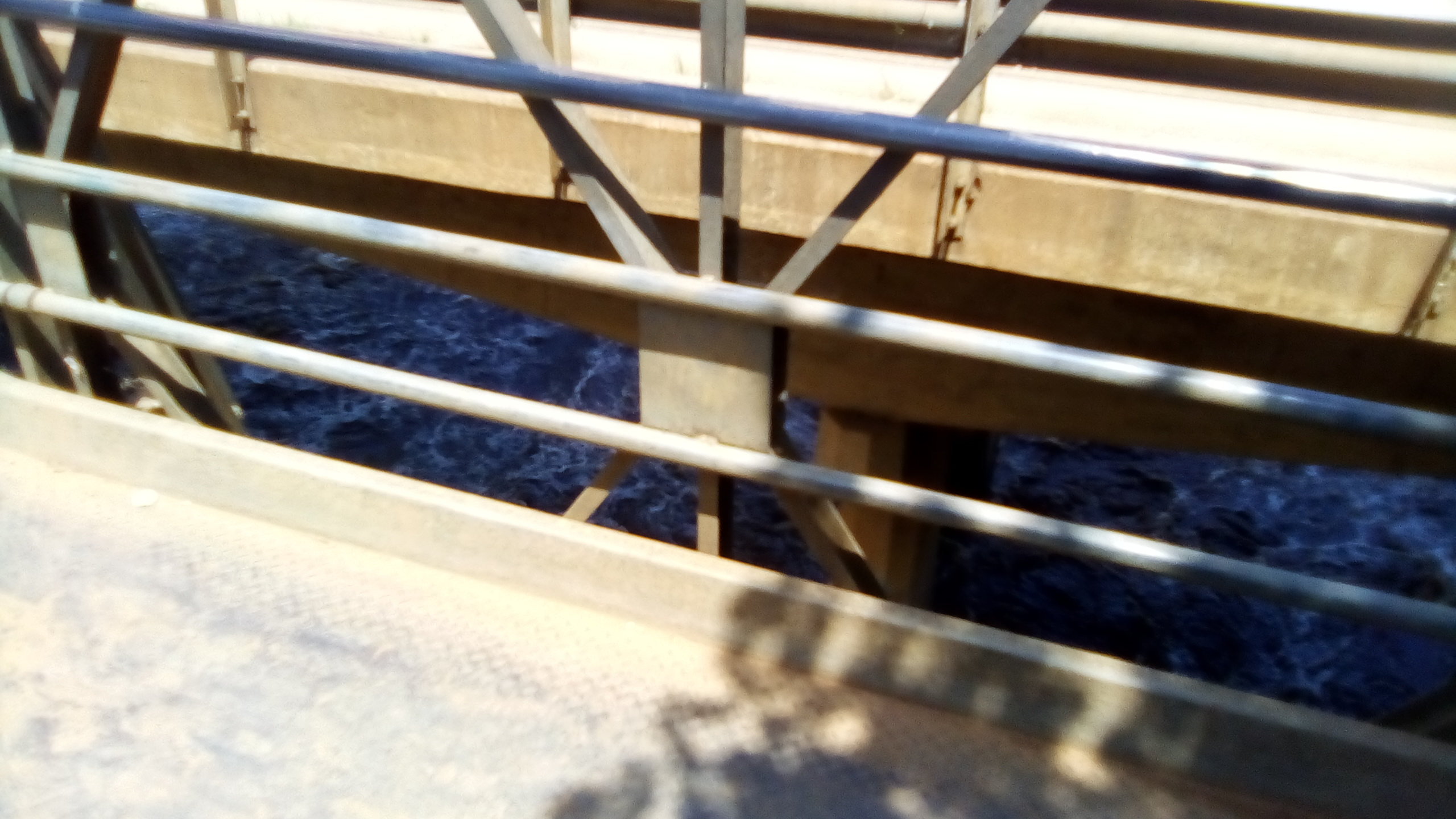 IMG_20200314_113027_9.jpg