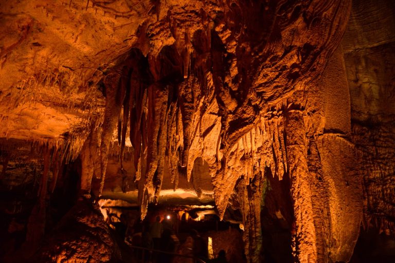 mammoth-cave-national-park-kentucky.jpg