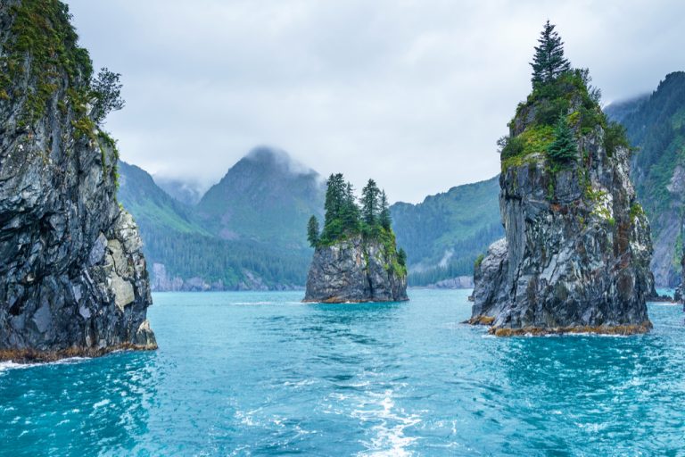 porcupine-bay-kenai-fjords-national-park (1).jpg