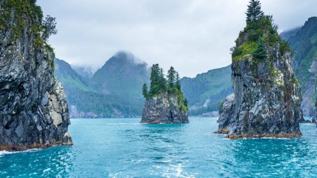 porcupine-bay-kenai-fjords-national-park.jpg