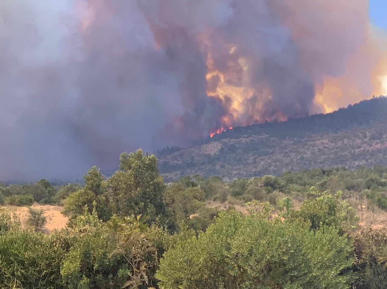 More than 4,000 acres – home to elephants and lions – have been scorched in 36 hours