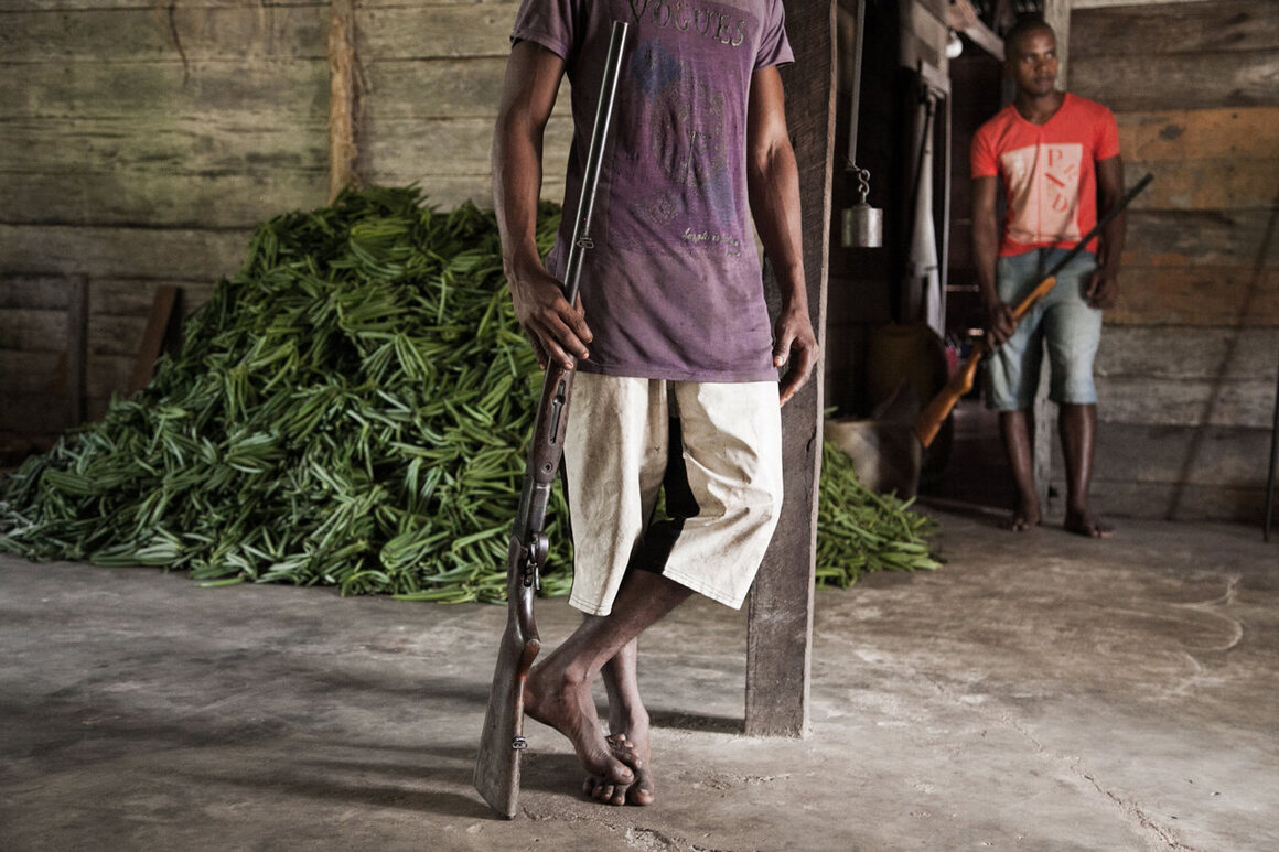 Armed guards look after a pile of vanilla pods in Bemalamatra, Madagascar. 