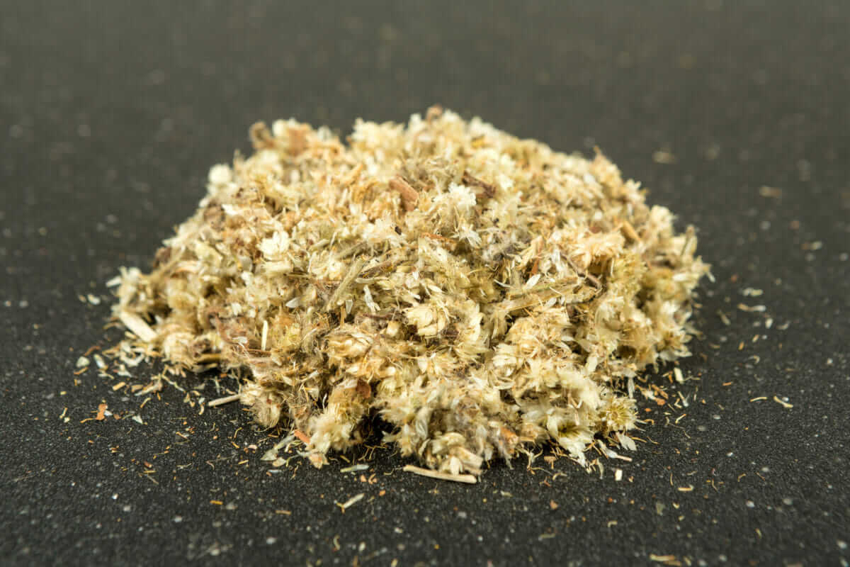 dried-mullein-HERO-1200x800.jpg