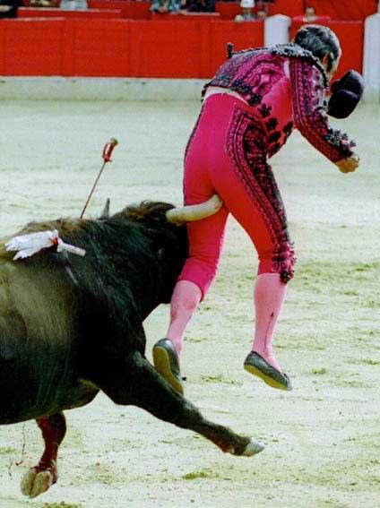 BullPain3.bmp