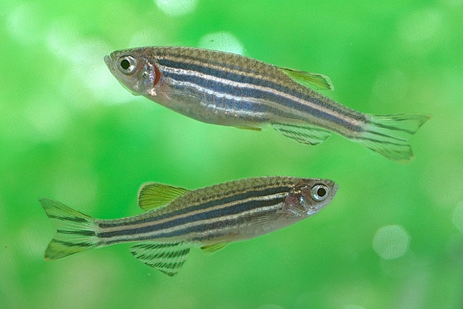 www.discovermagazine.com