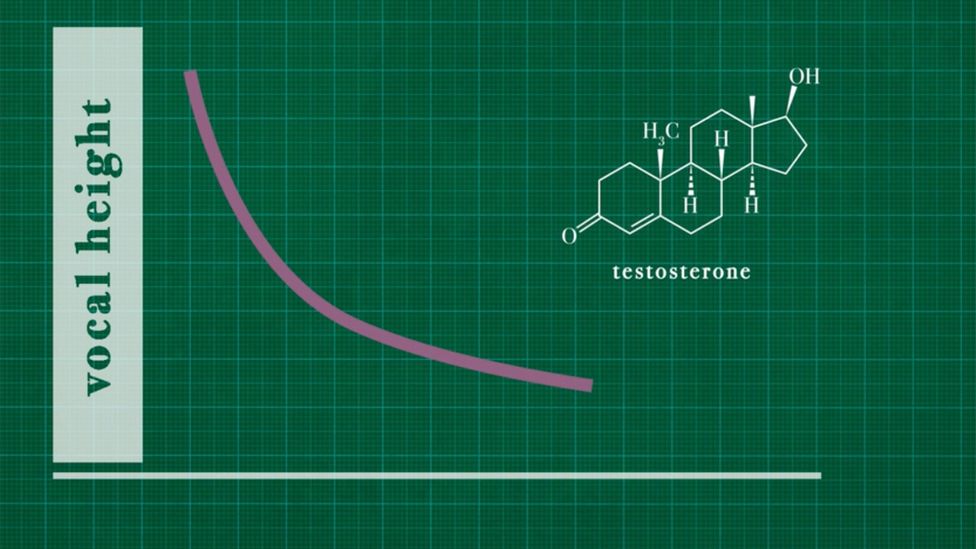 The lower a man's voice is the higher levels of testosterone they have, so vocal height provides signals about a man's biological quality (Credit: Michal Bialozej/BBC)