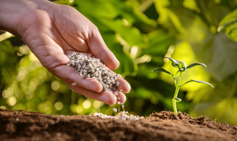 smartfarmerkenya.com