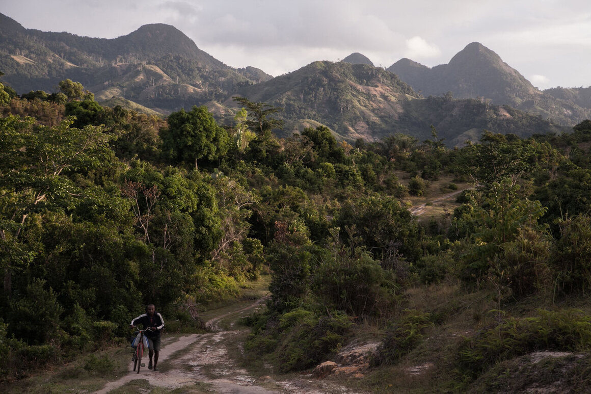 A man pushes a bicycle close to a vanilla plantation in Bemalamatra, Madagascar. 