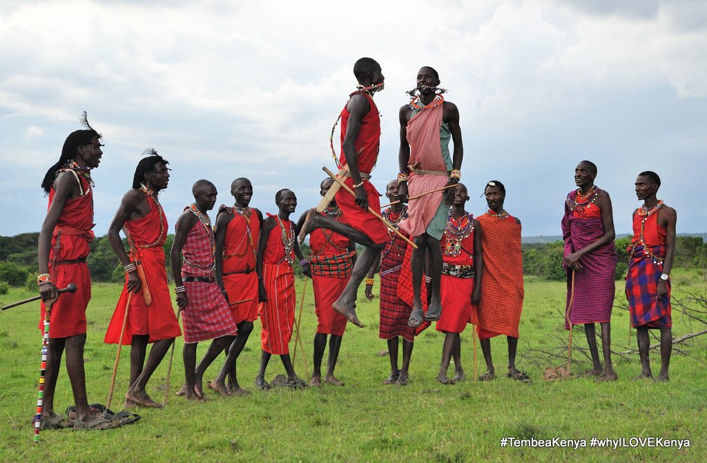 thesafariguy.co.uk