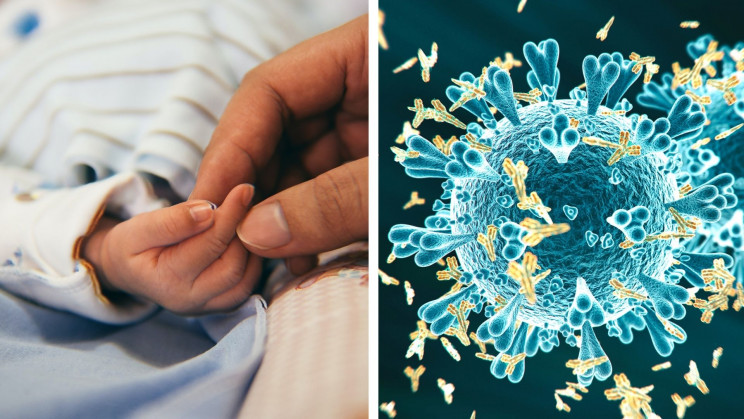 A US Woman Just Gave Birth to the First Baby With COVID-19 Antibodies A US Woman Just Gave Birth to the First Baby With COVID-19 Antibodies